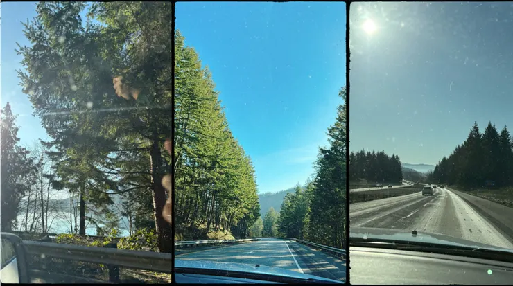 一月底的太陽好熱情