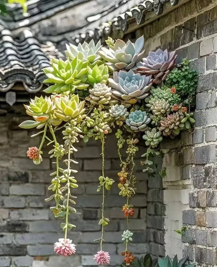 照片取材於網路