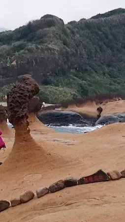 [新北旅遊]世界海岸奇觀之一的野柳地質公園，三十多種海岸海蝕