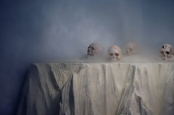 蔡咅璟,《帝國的標本》,2023。©蔡咅璟,圖像由藝術家提供。