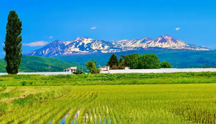 東川町風景(圖源：Google)