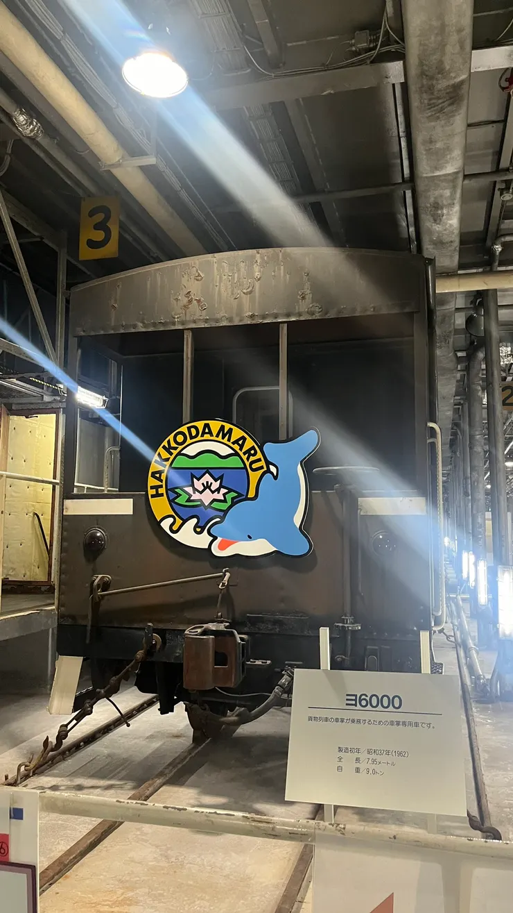 很難有機會在船上看到火車。