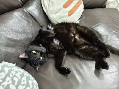 《不想長大》