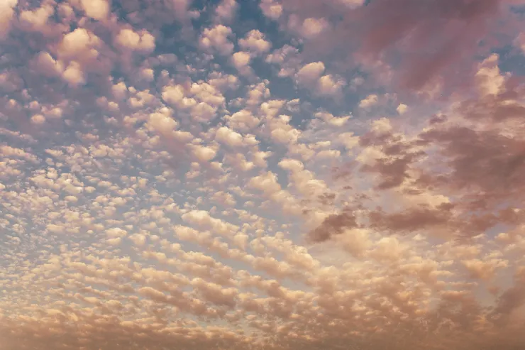 抬頭看看天空，深呼吸。攝影師：Juan Pablo Serrano Arenas