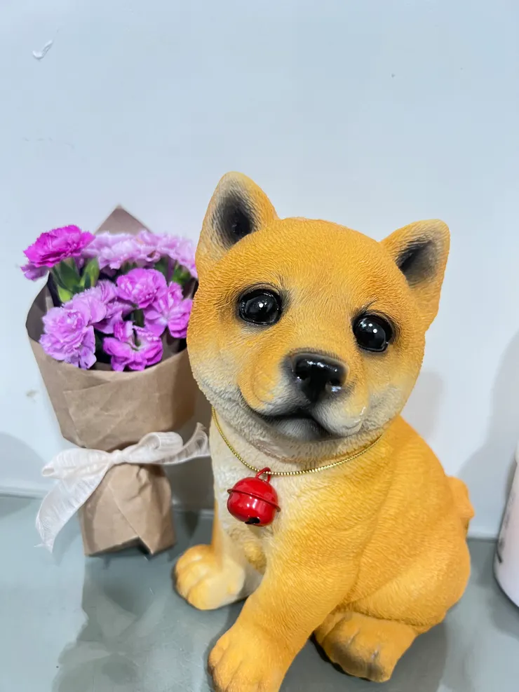 就是這隻眼神濕濕的小傢伙，小橘。