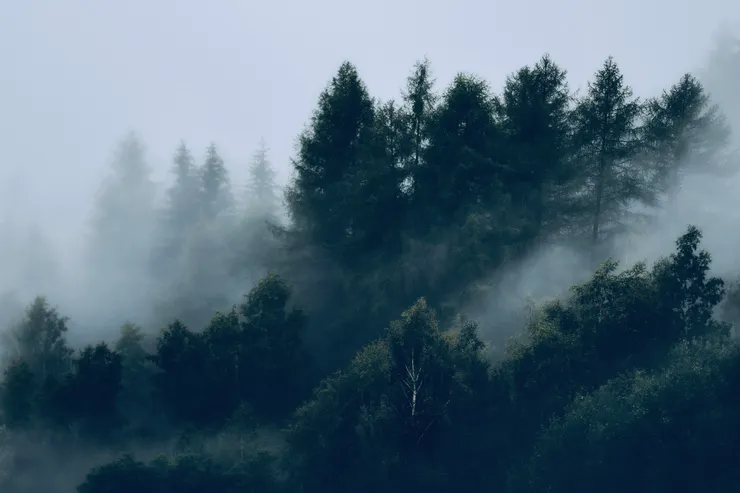 攝影師：eberhard grossgasteiger: https://www.pexels.com/zh-tw/photo/1367192/