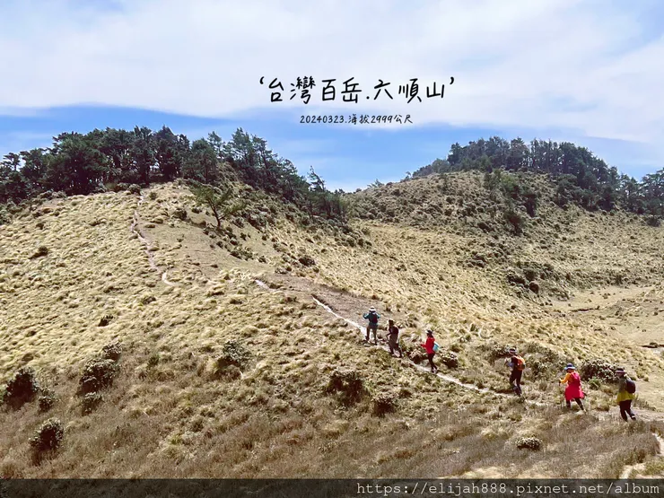 【丹大林道.六順山.七彩湖】六順山.海拔3009公尺/波波草