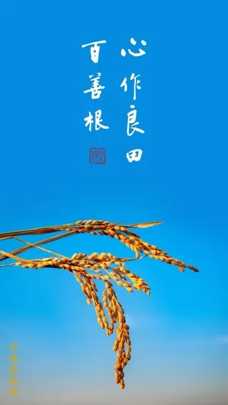 善惡之報，熟處先受報。