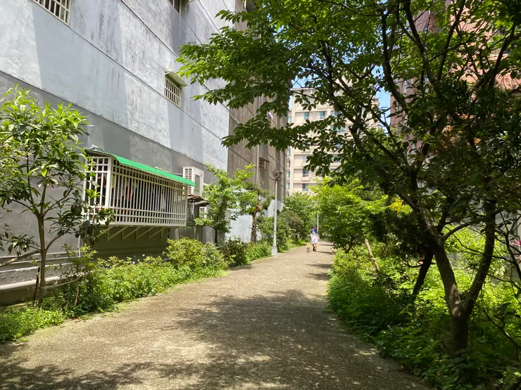 公寓大樓旁的畸零地，都是萬盛溪河道