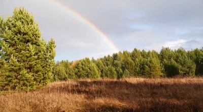 བོད་ཀྱི་སྐད་ཡིག། 心想之事皆可成真