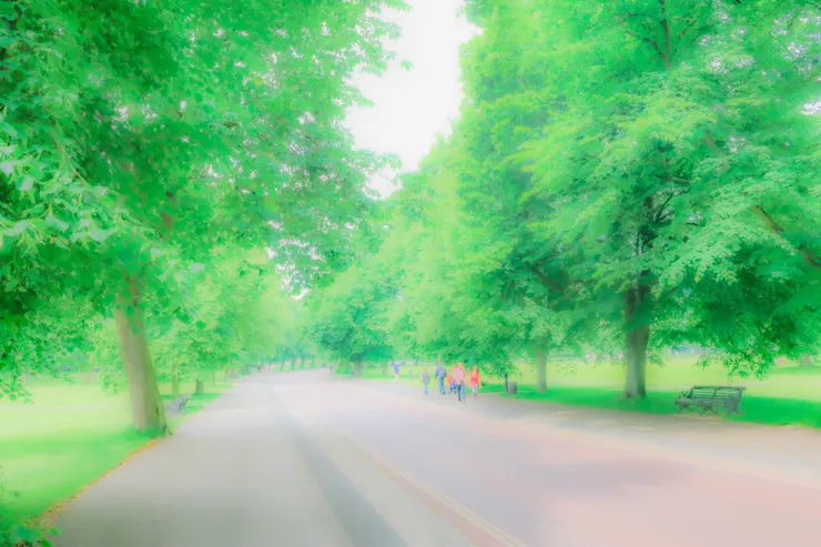 格林威治皇家天文臺的後山公園一景