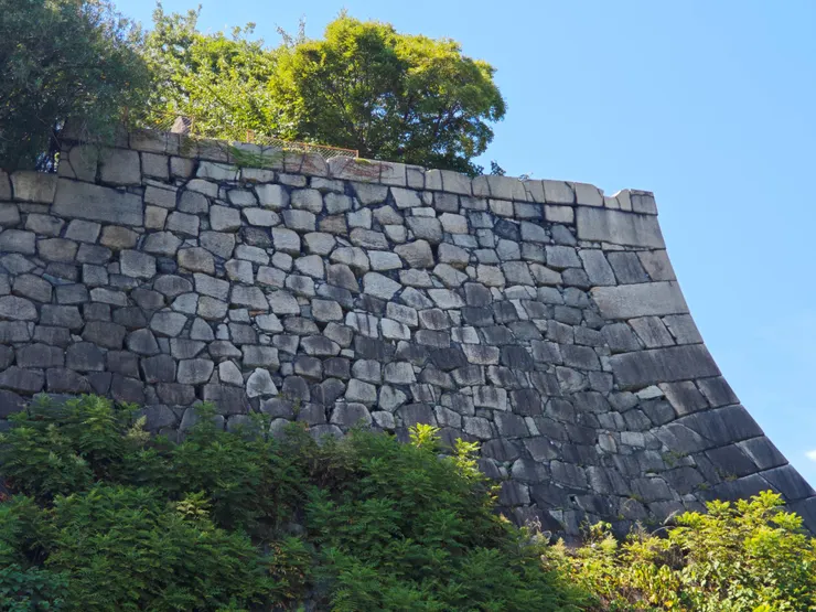 人面石已經出現了喔!看到沒有?那一對深情的眉毛