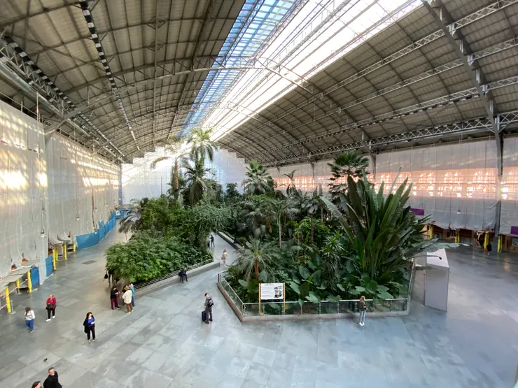 但能在百年車站內設計熱帶植物園的發想還是挺厲害的。解除大家等車的緊張感