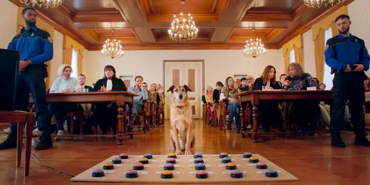 【影評】《被告汪星人》Dog on trail：一場荒謬的審判？｜映後就談