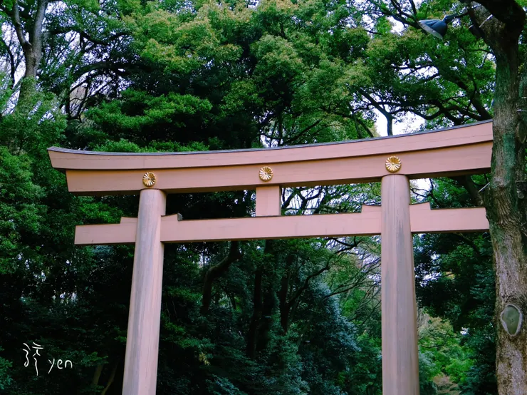 如今的明治神宮已是城市的大森林