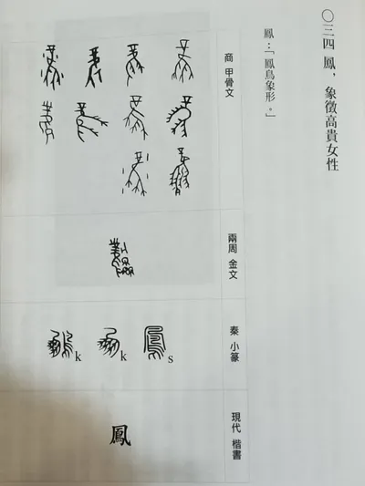 許進雄 文字小講 - ○三四  鳳，象徵高貴女性 