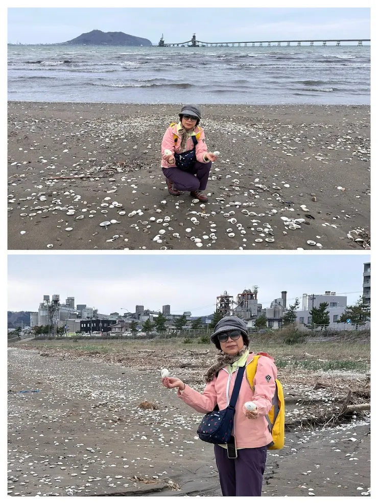 太平洋水泥上磯工廠，附近沙灘上遍佈扇貝的殻。