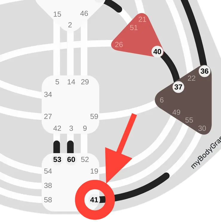 2026人類圖流年運勢解析:2026 人類圖流年中閘門41的位置|曼蒂人類圖