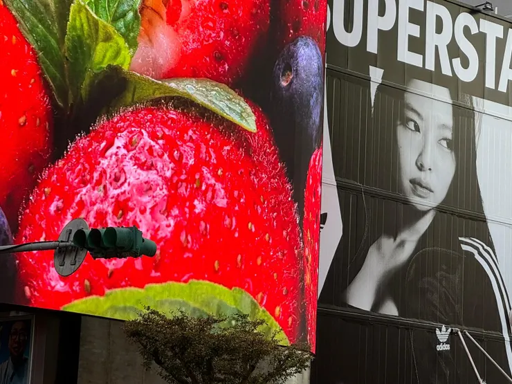 現在的螢幕太高清，毛細孔看的一清二楚