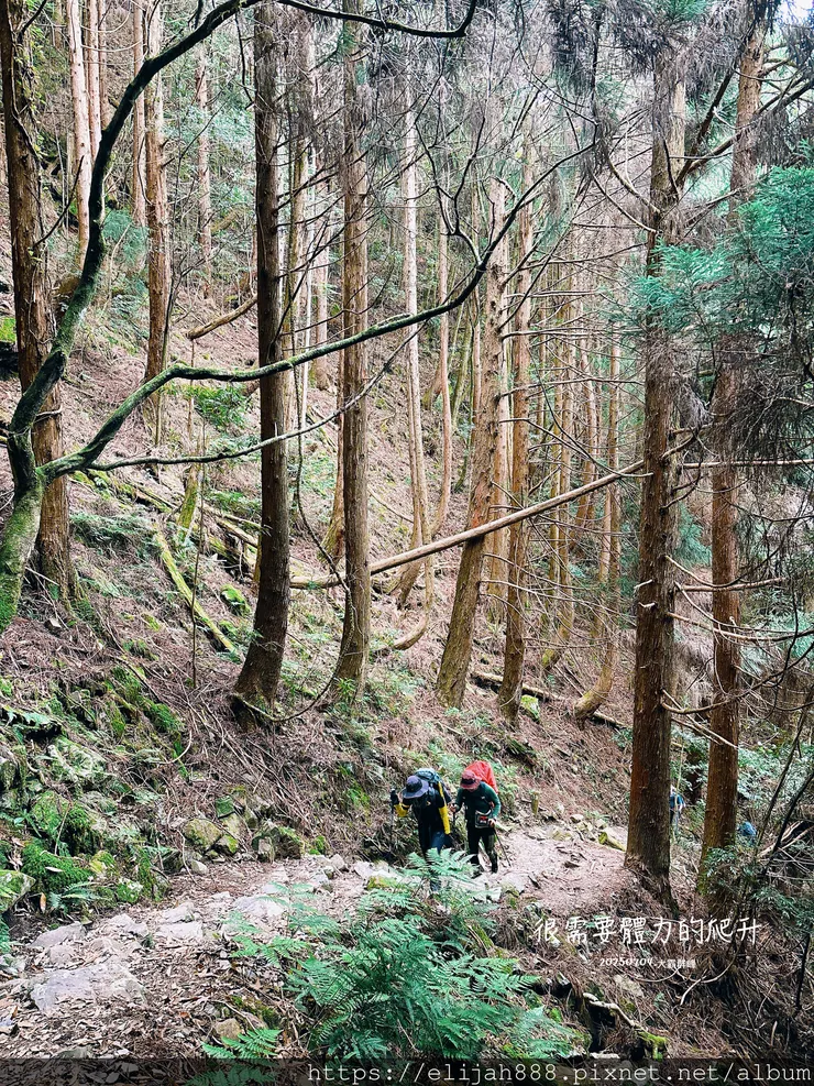 【大霸群峰4百岳。兩天一夜】觀霧大鹿林道東線騎越野單車/馬達