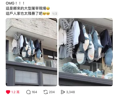 25 de marzo｜今日單字 ｜Tiburón