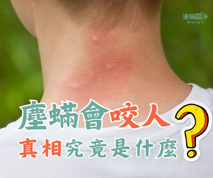 新北除螨推薦.新北除塵螨推薦.新北除塵螨.新北除螨.速螨奇淨