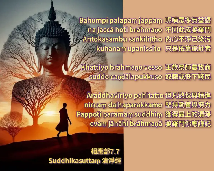 佛陀法語 | 關於清淨