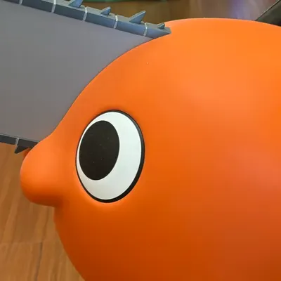 一隻橘色的狗的沙龍