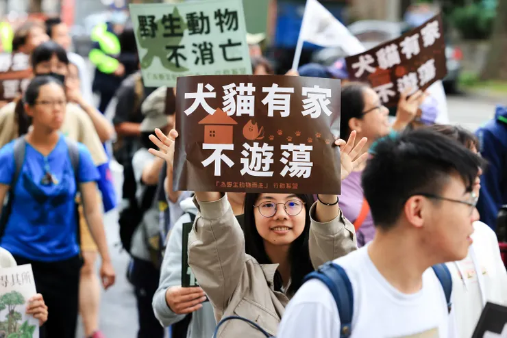 挑了很久,還是決定用妹子當主視覺。 看看能不能變成流量密碼,讓野生動物與可憐的遊蕩動物的處境被更多人看見。