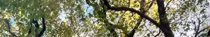 生命的煉金實驗室