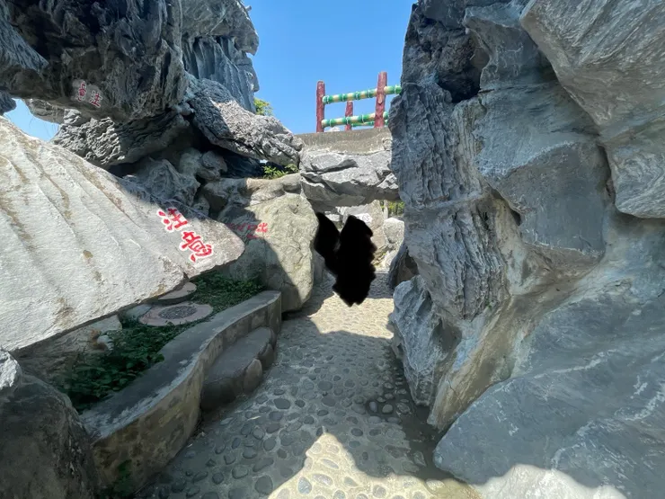 指標64跟65之間有緊急出口。