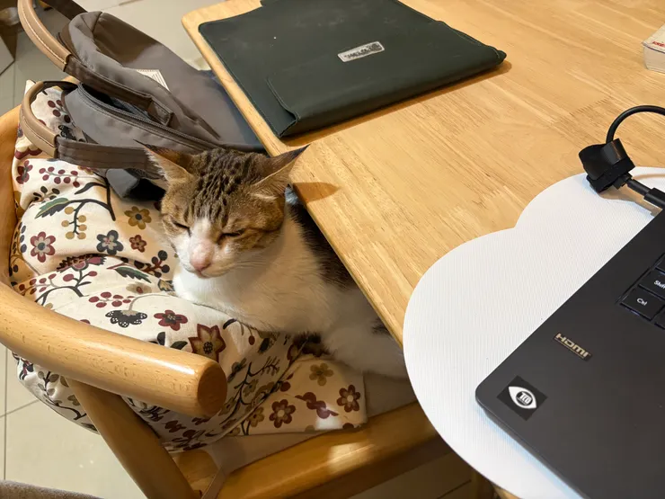 陪我工作的女鵝