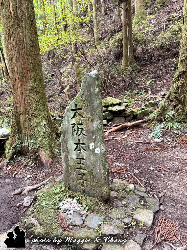 根據說明描述，王子社名因位於大阪(逢坂峠)山麓而得名。在江戶時代被寫為「大坂王子」、「相坂王子」。