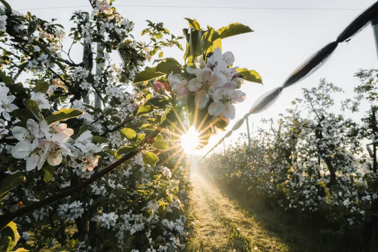 Photo by Pascal Debrunner on Unsplash