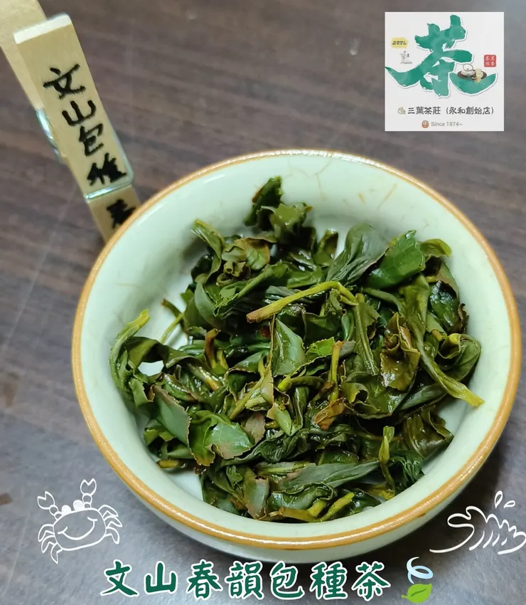 26式 文山春韻包種茶🍃