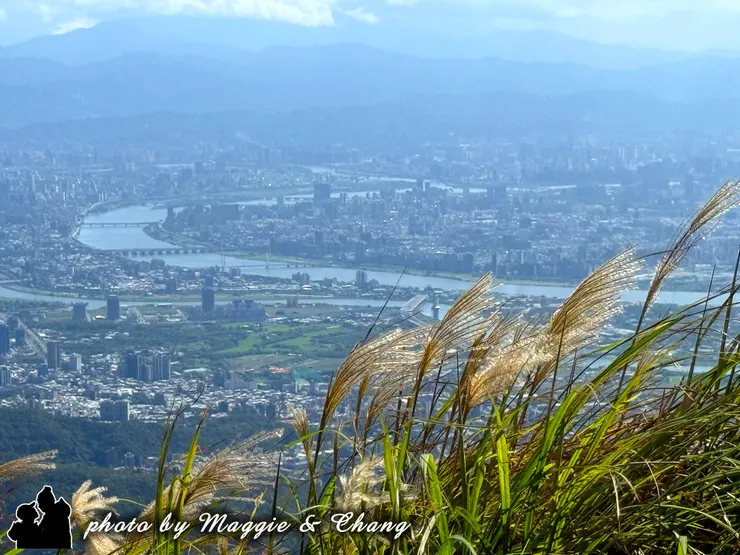 站在山頂俯瞰整座城市,蜿蜒的河流像銀帶般穿梭其中,遠方的山巒層層疊疊,與天際相連。前景的芒草在風中搖曳,柔軟卻堅韌。這一幕,是自然與人類共存的畫面——既遼闊又寧靜,提醒我們無論身在城市或山林,都該偶爾抬頭看看世界的廣闊。