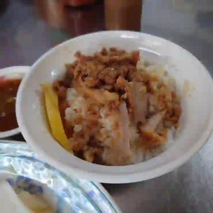 源滷肉飯(菜鴨魯熟肉)-嘉義-食記
