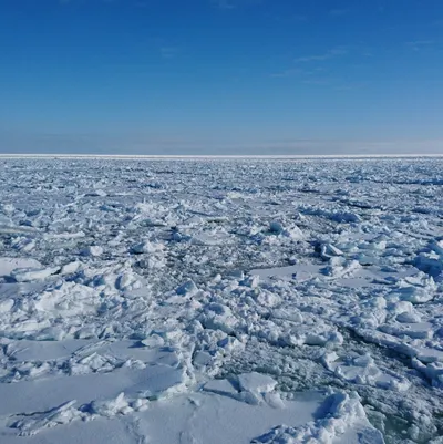 安然的生活狀態