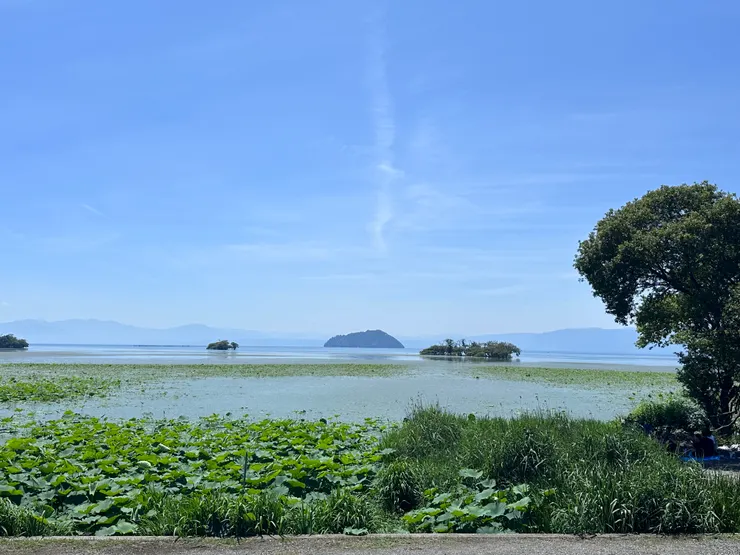 可以看到竹生島