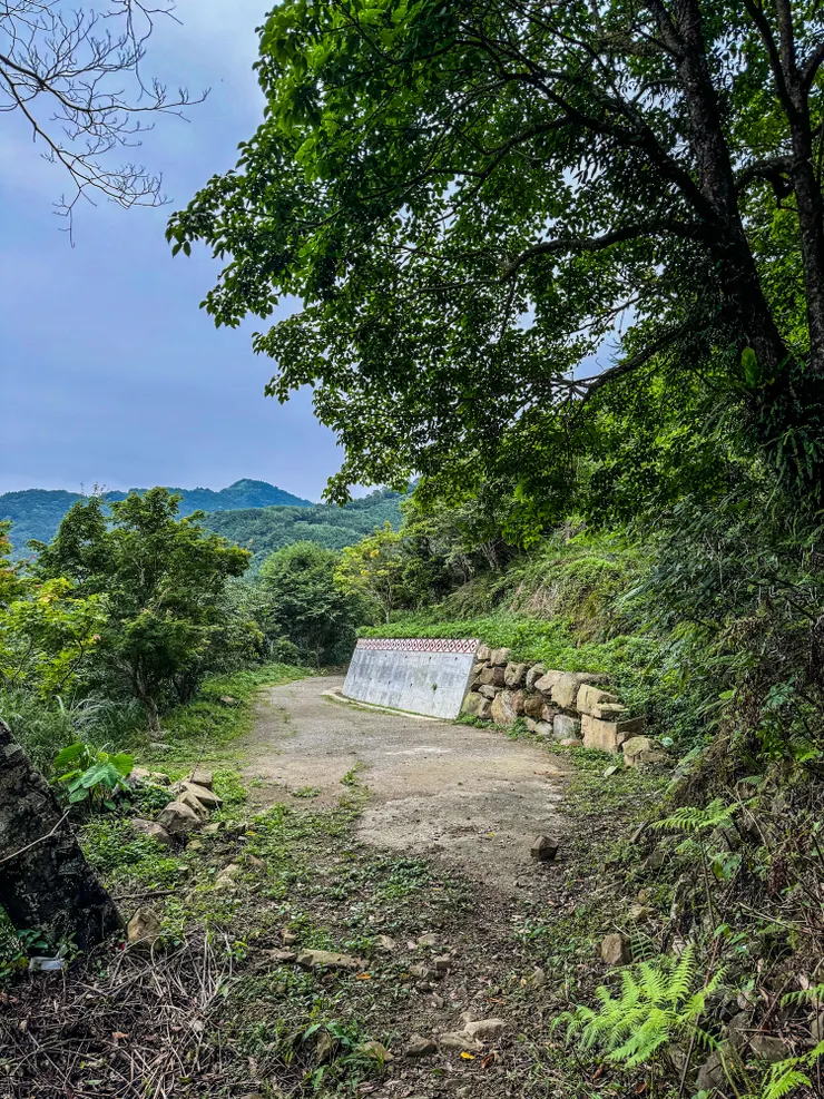 1612 抵逹 牌子山登山口