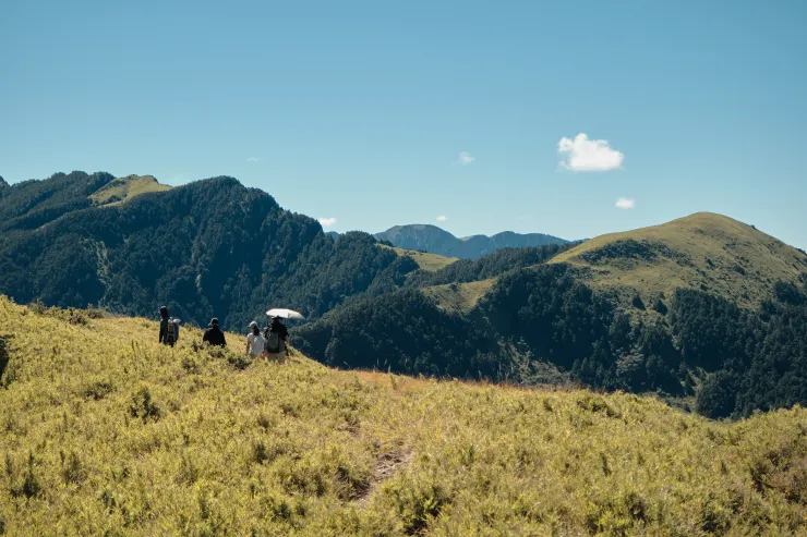 從叉路離開之後會先經過一片展望好的大草原，回頭還可看見反射板，每次爬山看向來時路，都覺得自己的雙腳能帶我走這麼遠真的很不可思議