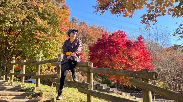 走到停車場捷徑旁的楓樹美景