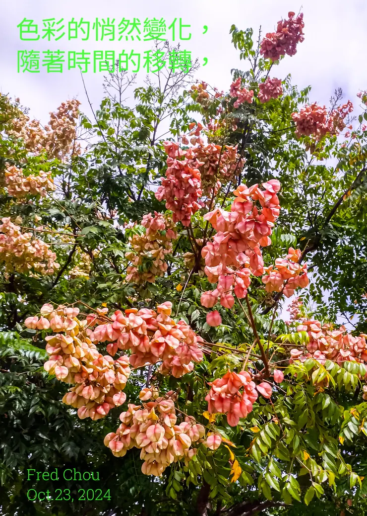 話兒們知道應用變化， 語言應用的發音和語調的變化更形重要。