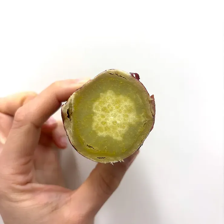 紅天使（べにてんし）