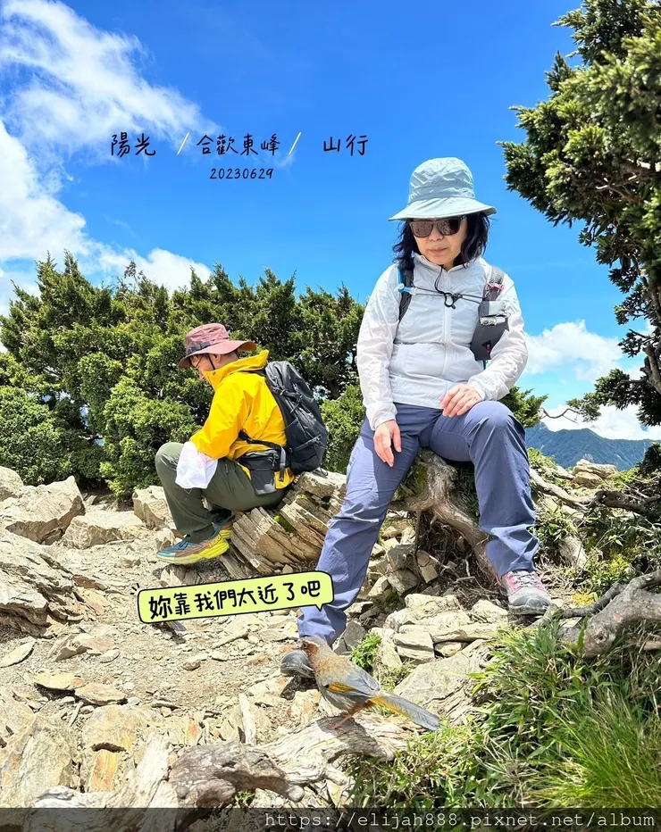 【2024合歡山避暑健行/清境&埔里住宿】合歡東峰/合歡南峰
