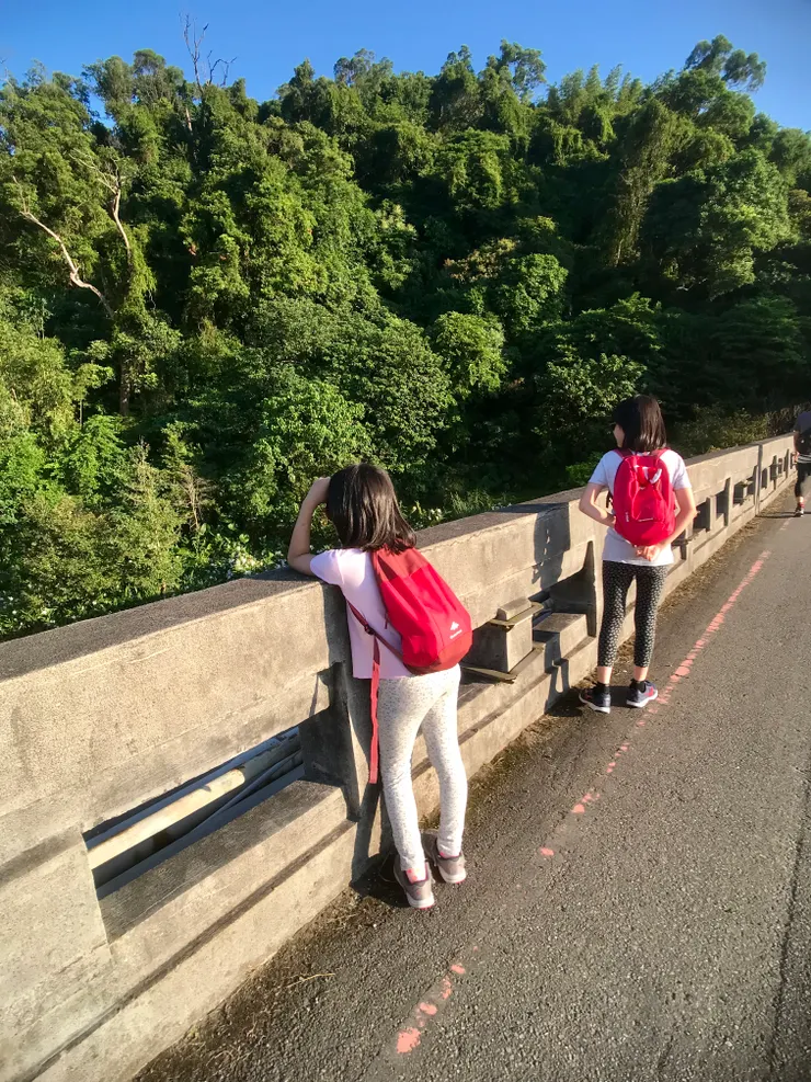 渡賢橋上望指南溪