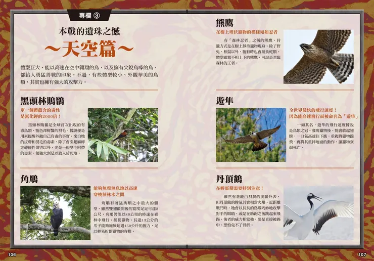 生物介紹與補充知識｜《最強戰鬥１：超危險生物大戰圖鑑》｜小角落文化出版