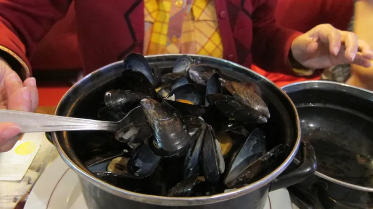 一大鍋鮮美淡菜