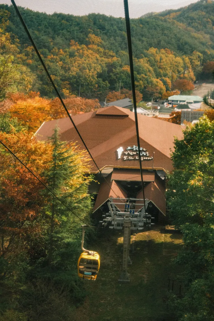 來回纜車票價為 13,000 韓元。隔著車窗拍起來有種朦朧美。