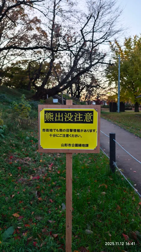 公園連接馬路的通道居然也有熊出沒......